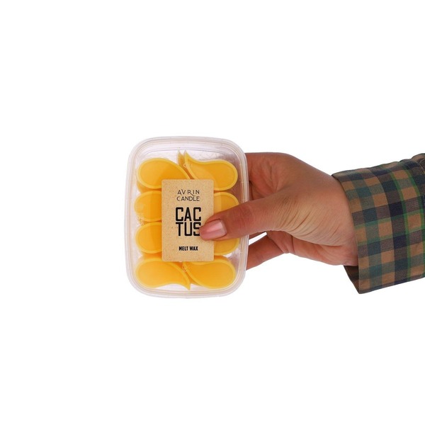 اسانس جامد معطر کاکتوس بلوم photo 2025 11 28 00 25 02